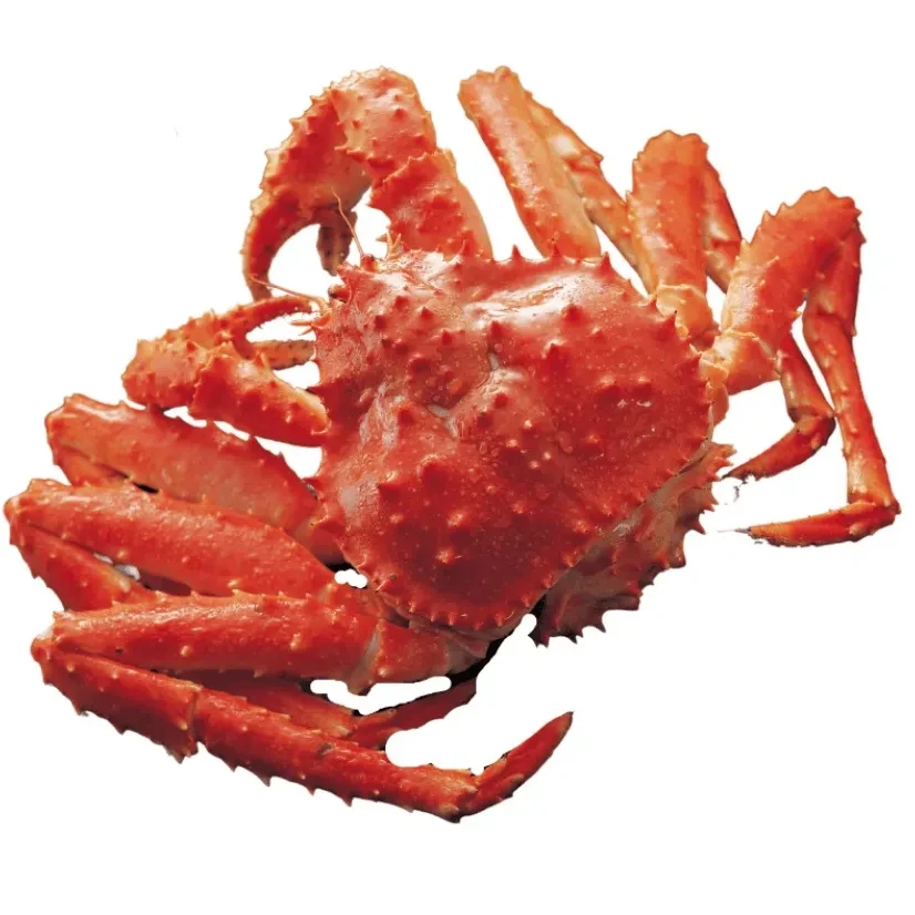 Centolla Cozida Congelada IQF - Peso Variável 